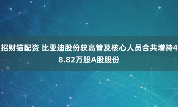 招财猫配资 比亚迪股份获高管及核心人员合共增持48.82万股A股股份