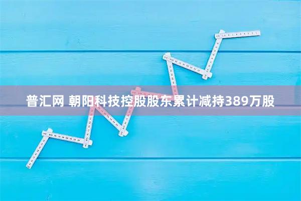 普汇网 朝阳科技控股股东累计减持389万股